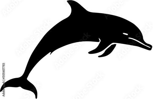 silhouette of a dolphin