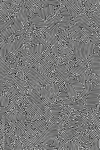 Geometric Black and white line art pattern with small, dense lines forming an abstract maze or network on a pure background of the same color. 