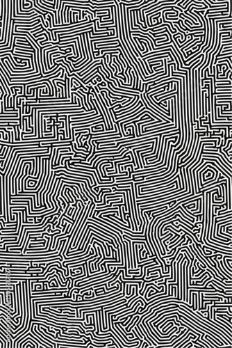 Geometric Black and white line art pattern with small, dense lines forming an abstract maze or network on a pure background of the same color. 