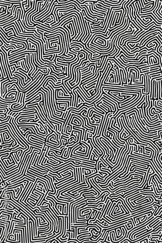 Geometric Black and white line art pattern with small, dense lines forming an abstract maze or network on a pure background of the same color. 