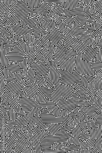 Geometric Black and white line art pattern with small, dense lines forming an abstract maze or network on a pure background of the same color. 