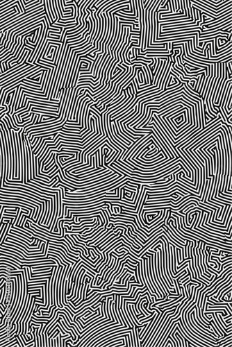 Geometric Black and white line art pattern with small, dense lines forming an abstract maze or network on a pure background of the same color. 