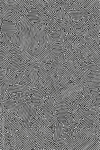 Geometric Black and white line art pattern with small, dense lines forming an abstract maze or network on a pure background of the same color. 