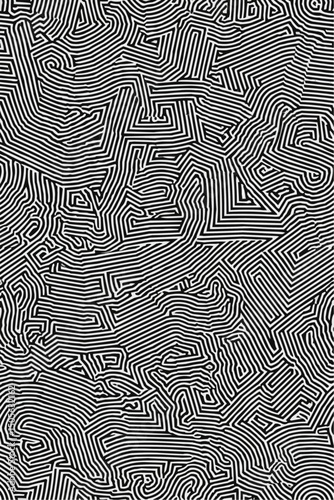 Geometric Black and white line art pattern with small, dense lines forming an abstract maze or network on a pure background of the same color. 