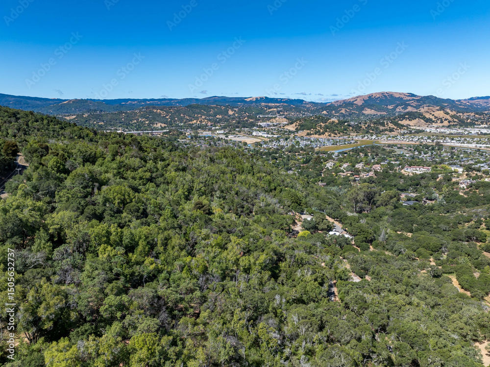 Obraz premium Aerial photos of a forested hillside in San Rafael, California, highlighting dense tree coverage, winding roads, and panoramic views of surrounding hills, residential properties, and the San Pablo Bay