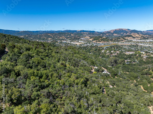 Aerial photos of a forested hillside in San Rafael, California, highlighting dense tree coverage, winding roads, and panoramic views of surrounding hills, residential properties, and the San Pablo Bay