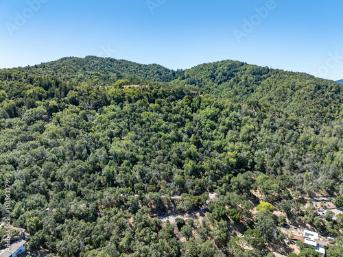 Aerial photos of a forested hillside in San Rafael, California, highlighting dense tree coverage, winding roads, and panoramic views of surrounding hills, residential properties, and the San Pablo Bay