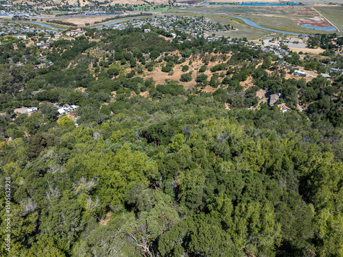 Aerial photos of a forested hillside in San Rafael, California, highlighting dense tree coverage, winding roads, and panoramic views of surrounding hills, residential properties, and the San Pablo Bay