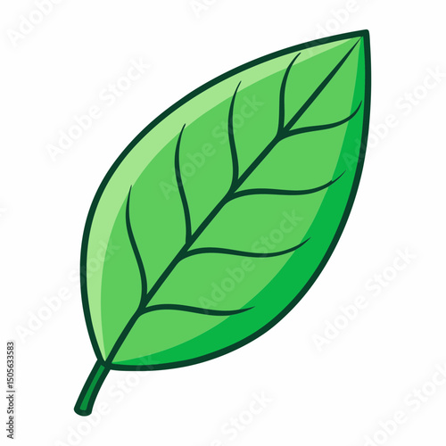 Cartoon Green Leaf with Veins on White Background Vector Illustration