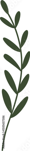 green olives on branch