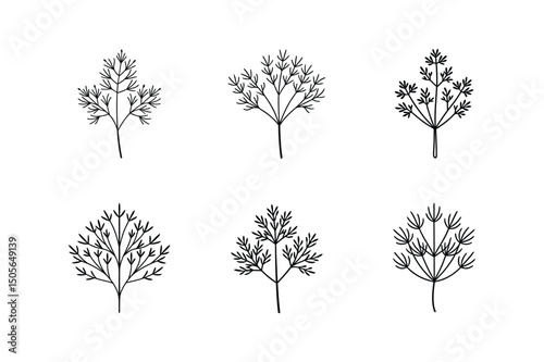dill plant icon line art vector illustration