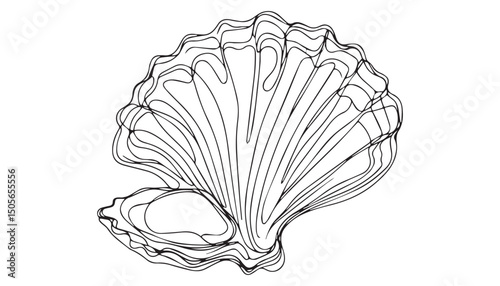 Continuous one single minimal line drawing Haliotis