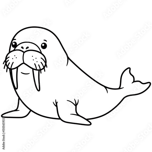 Detailed black and white line drawing of a walrus in a relaxed sitting pose, featuring prominent tusks, whiskers, and flippers, ideal for wildlife education or marine-themed designs.