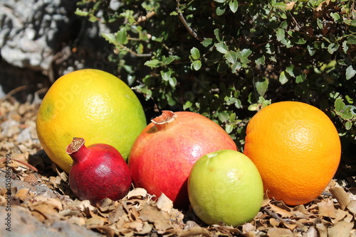 Canvastavla Pomegranate and orange fruits on the autumn dry leaves fall from tree