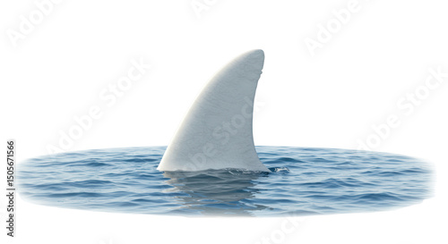 Isolated Shark Fin in Water