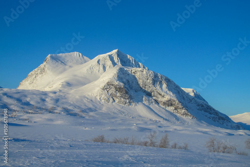 Quadro su tela Sarek national park in Sweden during cold snow polar winter