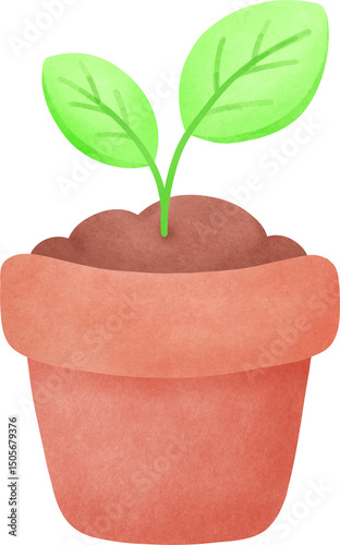 Green Plant