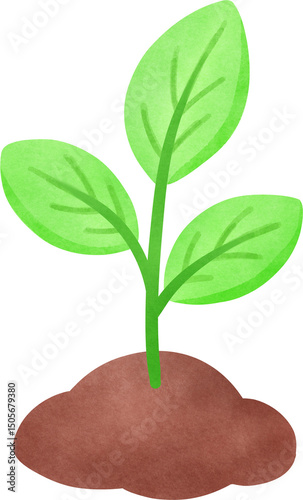 Green Plant