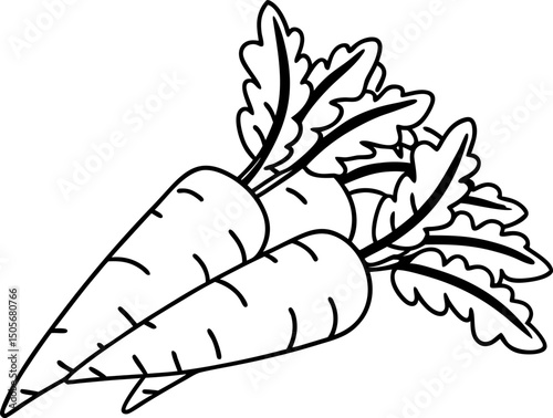 black and white  carrot illustrations fresh vegetables, organic food concept, simple outline design