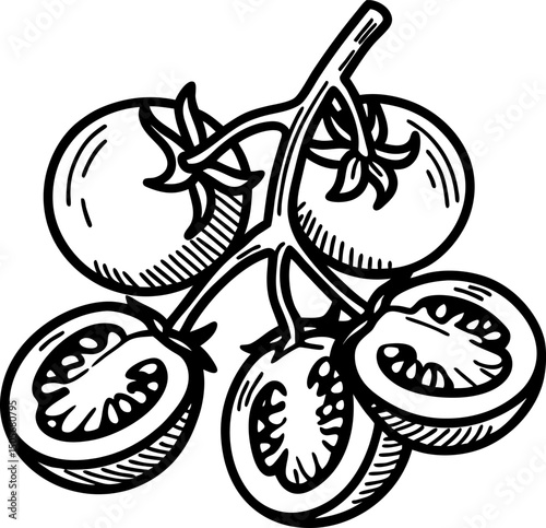Illustration of sliced and whole tomatoes on vine in black and white line art