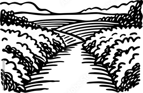 Scenic countryside pathway through lush fields and rolling hills