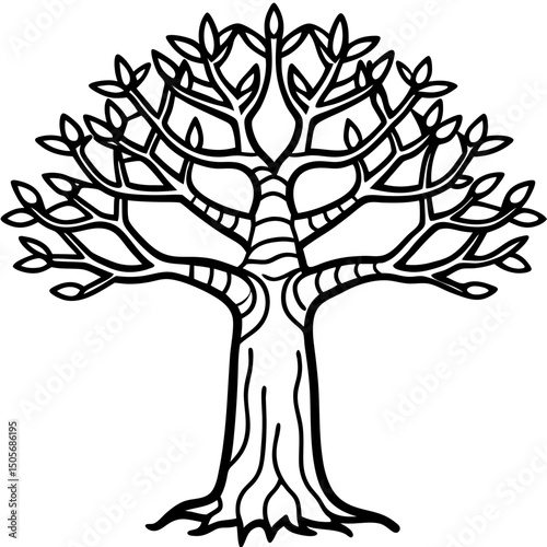 Baobab Soul African Spirit Vector