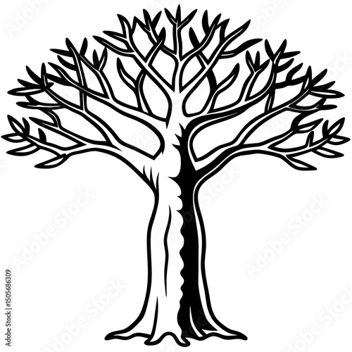Baobab Soul African Spirit Vector