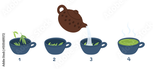 Steps green tea brewing from pouring hot drink into cups and boiling water from kettle. Chinese ceremony. Traditional beverage preparation stages process. Vector cooking instruction