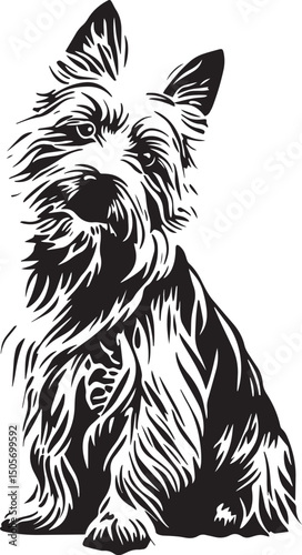 sitting australian terrier dog