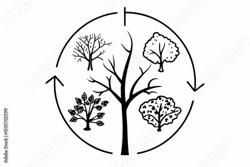 seasonal tree cycle