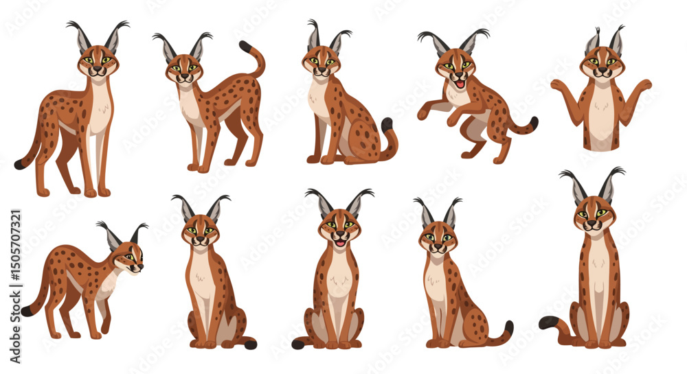 Fototapeta premium vector of set of cartoon caracal 