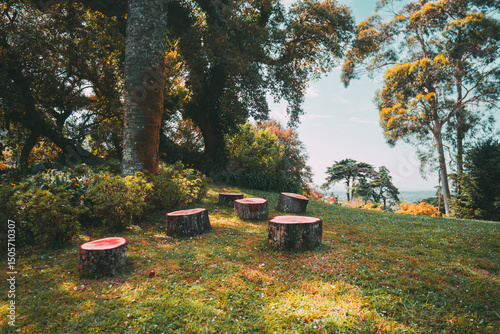 Wallpaper Mural Scenic forest clearing in Sintra, Portugal, featuring a circle of tree stump seats on a grassy meadow under dappled sunlight, surrounded by lush trees and vibrant foliage in a peaceful setting Torontodigital.ca