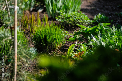 A vibrant, well-maintained ornamental Lush Flower Garden with Decorative Rock and Mulch. Ideal image for themes related to landscaping, gardening, backyard design, and nature aesthetics.