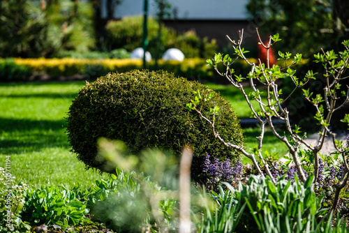 A vibrant, well-maintained ornamental Lush Flower Garden with Decorative Rock and Mulch. Ideal image for themes related to landscaping, gardening, backyard design, and nature aesthetics.