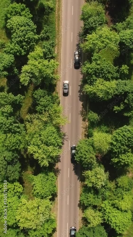 Vertical Video of Traffic Driving On Road In Summer. Motorway road with trafic. Aerial fly over shoot of a motorway road with traffic. Three black cars riding a thrown road for an important meeting Vertical Video of Traffic Driving On Road In Summer. Motorway road with trafic. Aerial fly over shoot of a motorway road with traffic. Three black cars riding a thrown road for an important meeting