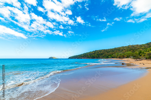 Turquoise sea and golden sand in La Perle beach in Guadeloupe photo