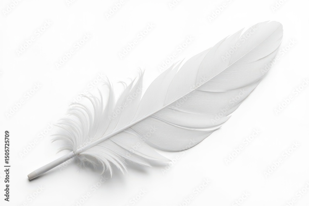 Obraz premium Crisp white feathers isolated on white backdrop, macro, light