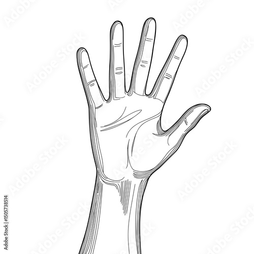 The modern illustration sketch features a hand grabbing blank space, created with hand drawn black lines on a white isolated background
