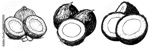 Exotic coco food is showcased through hand drawn vintage art of summer tropic coconut fruit, illustrated in a cool modern style isolated on white, ideal for line art in coloring books, t-shirts,