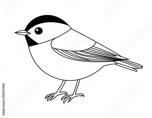 A black tit bird is depicted in a modern hand-drawn sketch isolated on white