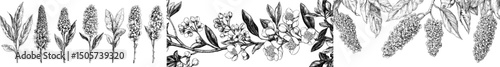 A contemporary illustration of blossoming trees drawn by hand, featuring spring-inspired design elements, including flowers, leaves, and branches, all set against a white background