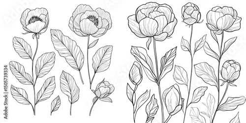 Isolated on the background is a lovely set of black and white dahlia leaves and buds