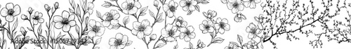 A large collection of cherry blossoms in the spring, depicted in a modern sketch style and isolated on a white background, with lovely tree branches in full bloom