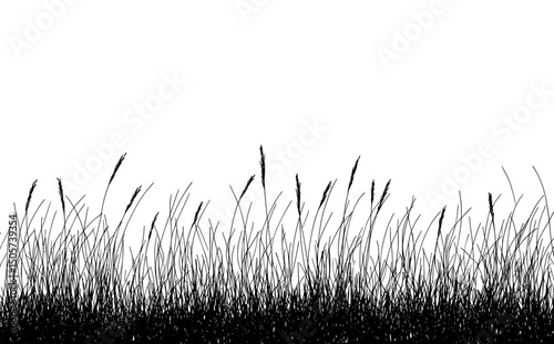 Graphic black and white illustration of grass presented as a modern isolated sketch