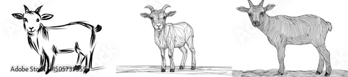 The modern illustration features a goat drawn in a continuous line art style, with a minimalist black linear sketch on a white background
