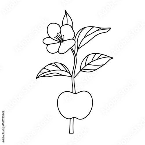 A continuous line art drawing style is used to illustrate a spring apple tree blossom, with the image featuring a group of flowers and leaves as a black linear sketch set against a clean white