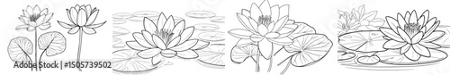 A hand-drawn black line sketch of tropical flowers, including waterlily and lotus, along with leaves, is isolated on a white background, depicting the plants on the water's surface in a modern
