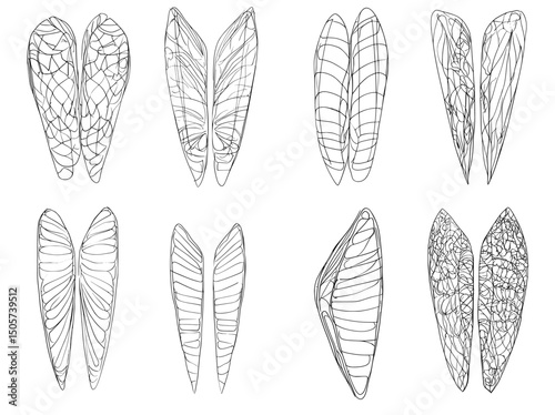 The illustration features doodle wings, including hand-drawn angel flight feathers, elegant angel wings, and heaven angels wings, as part of a modern icons set with angel bird and dove winged, wing