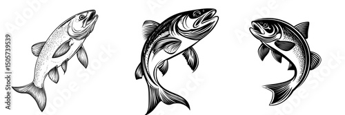 Rainbow trout in mid-jump and isolated salmon on white, designed for use in horoscope illustrations, tattoo designs, or adult coloring books