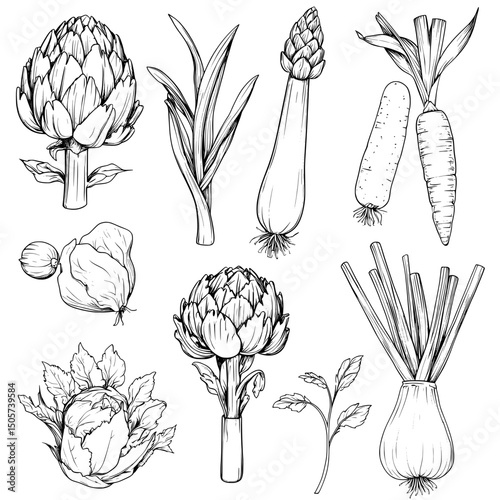 Doodle vegetables feature a set with celery, green beans, corn, carrots, asparagus, and artichokes